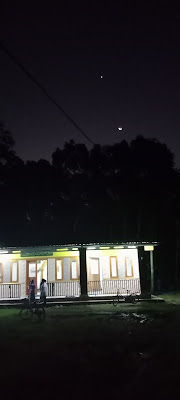 Toseh kelang kayu