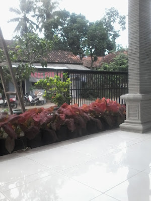 TRI SUNGKOWATI