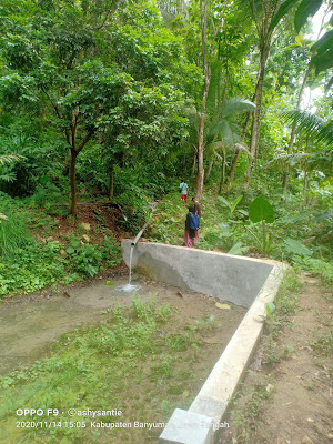 Tuk cibujal