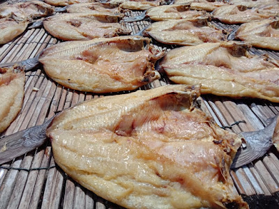 Tuti Jambal Roti Asli