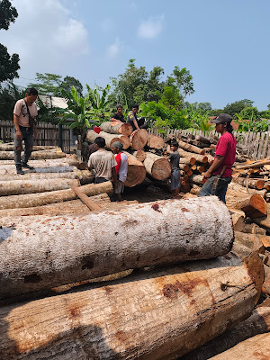 UD Cipta Mandiri kayu