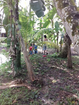 UD. Karya Tani