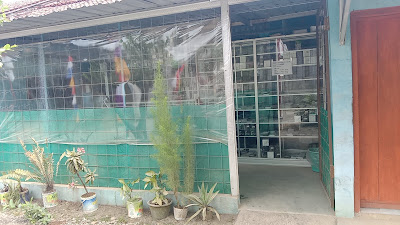 UFC untung Frans Tutup pindah depan.