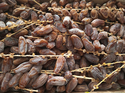 UMAH KURMA PURWOKERTO