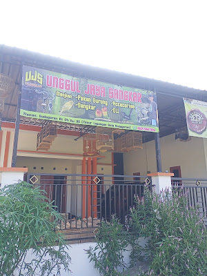 Unggul jaya sangkar