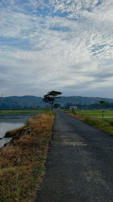 View Pemandangan Sawah Karang Jengkol