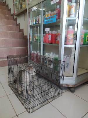 Vina Petshop