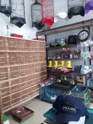 Wana bird shop