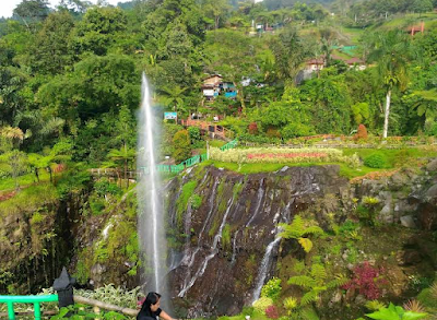 Wana Wisata Baturraden