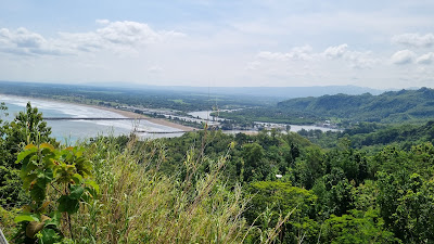 Wanalela Forest