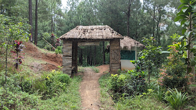 Wanawisata mbulu kuning