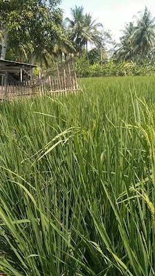 Warkop Aris Sukarna