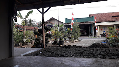 Waroke