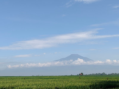 Warung Adelle
