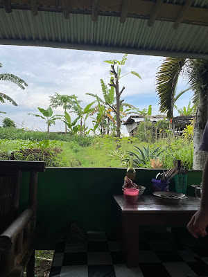 Warung AYAM PENYET LOMBOK IJO " LILIKE "