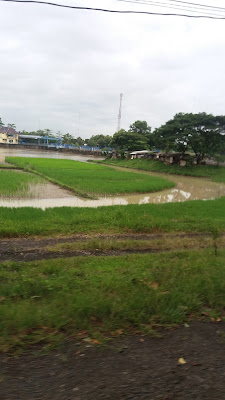 Warung Bu Agus