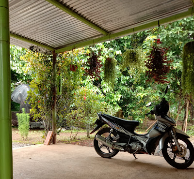 Warung Cherry