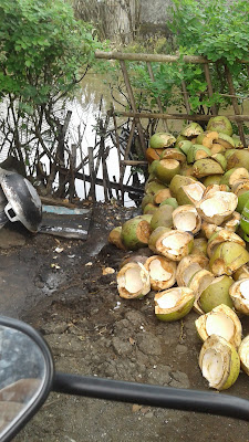 Warung Es Kelapa Muda