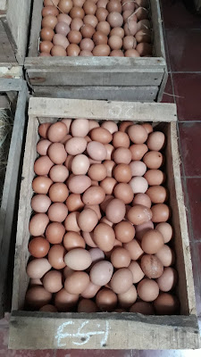 Warung H. Dulah Hasan