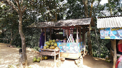 Warung Kelapa Muda Segar