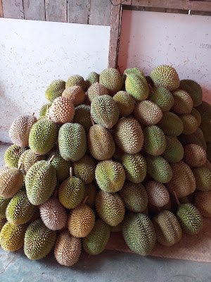 Warung Konco Duren Pak Bokir