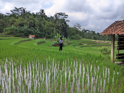 Warung Kopi GS TUKONG