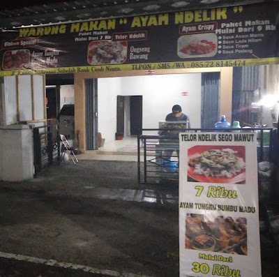 WARUNG MAKAN AYAM NDELIK