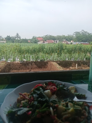 Warung Makan Bu Khol