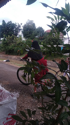 Warung Nydam Sari