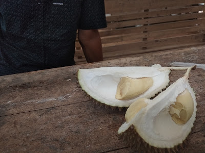 Warung Tahu Masak Dan Soto Banyumas