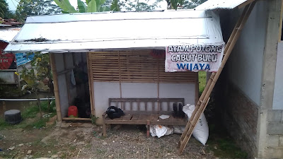 Warung vivi dan ayam potong wijaya
