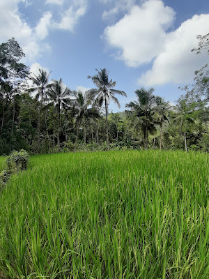 Watu Kelir jl. Lurakarsa - Giyanti
