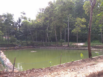 WISATA ALAM MARDANIA