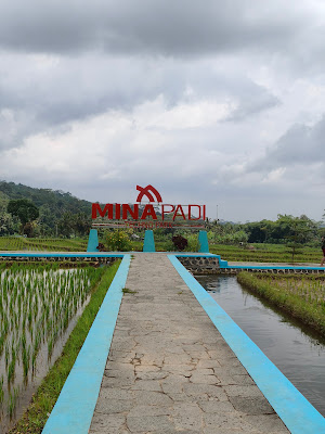 Wisata Mina Padi Panambangan