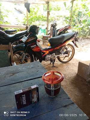 woyo motor