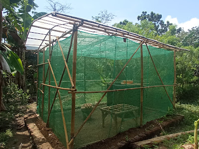 Yo Farm
