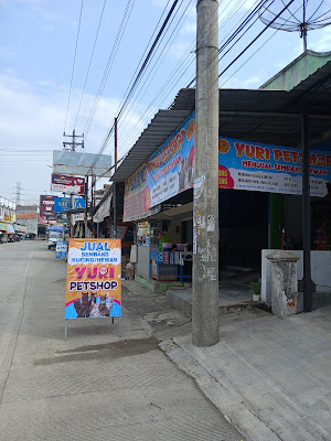 Yuri Petshop Karangpucung
