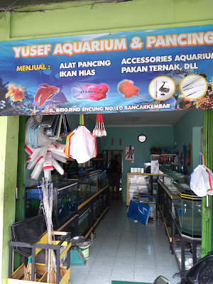 Yusef aquarium dan pancing
