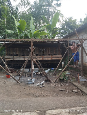 Zena farm