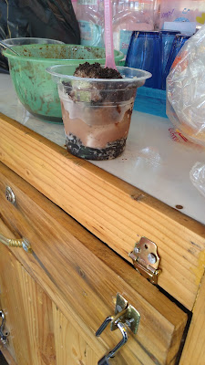 Zenzhu Boba Tea, Es Kepal Milo