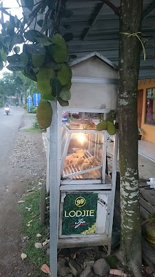 Zian fried chicken