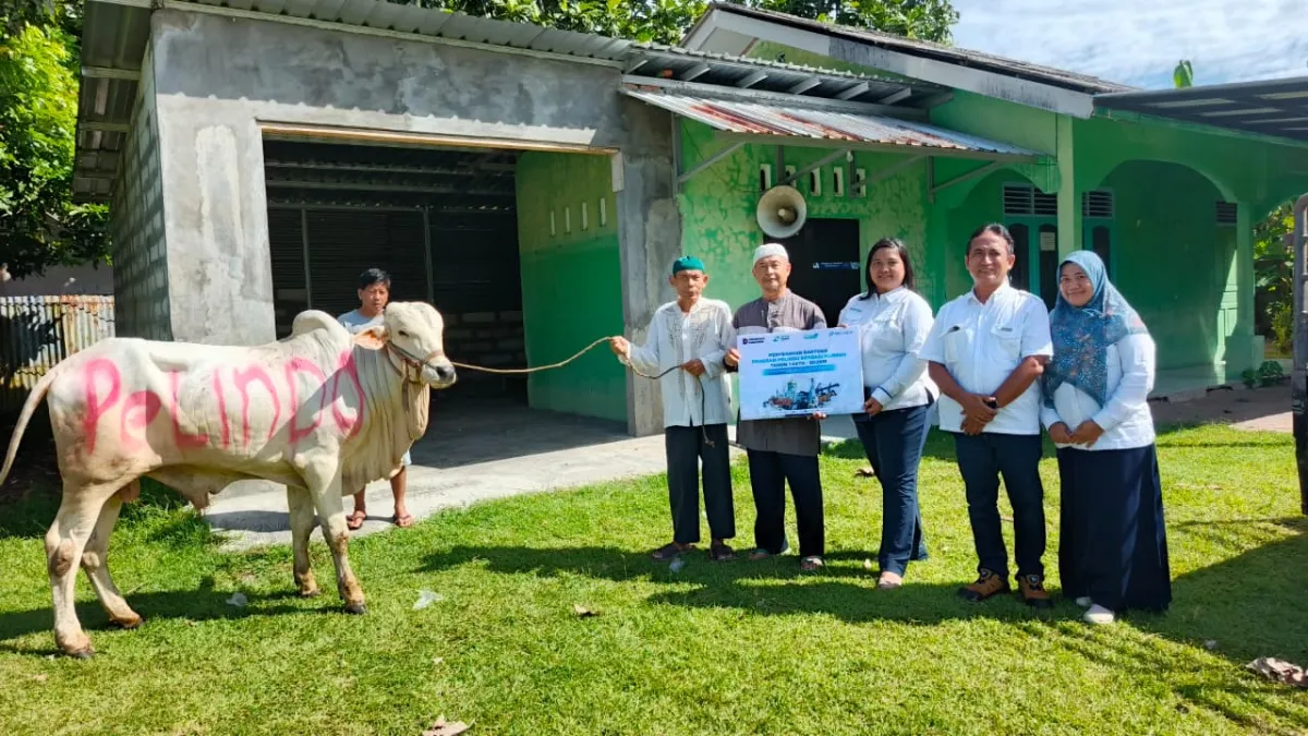 SPMT Branch Tanjung Intan Perkuat Kepedulian Sosial Lewat Program Pelindo Berbagi Qurban 1447 H/2026 M
